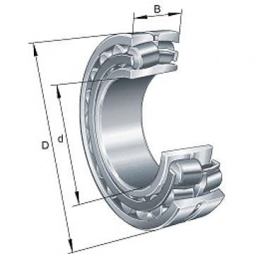 22313E1K.C3 FAG Spherical Roller Bearing